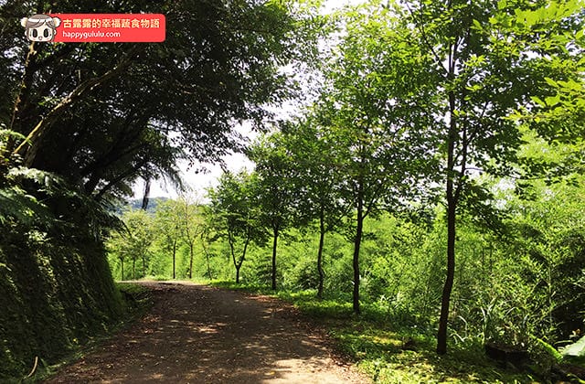 [新北景點] 台灣農林 – 熊空茶園｜三峽秘境 觀光茶園｜蔬菜湯麵 (影音