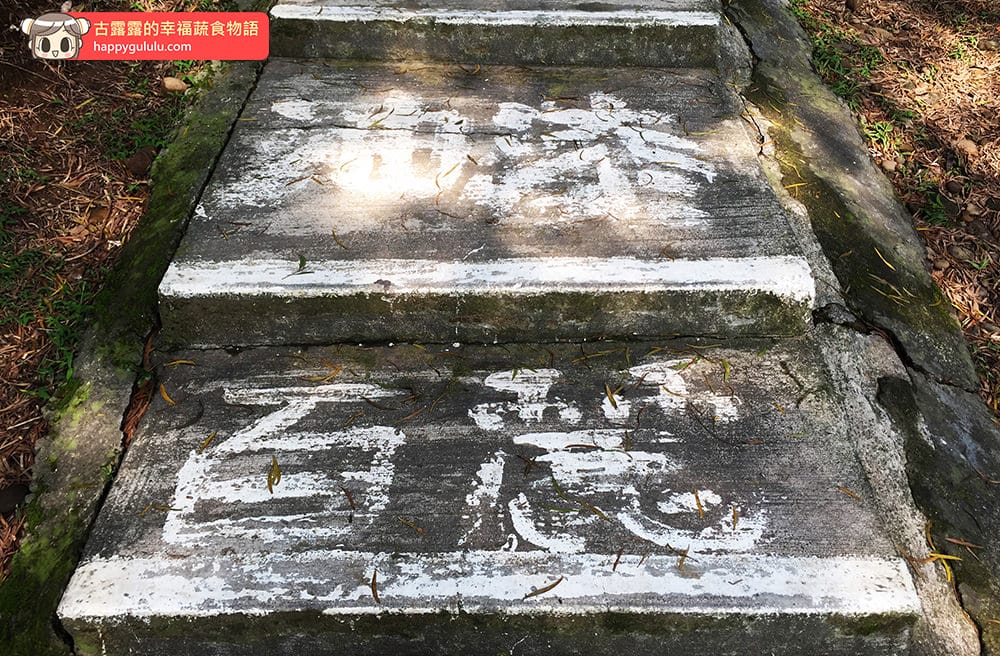 [桃園景點] 五酒桶山步道｜林木遮蔭 悠閒爬山｜桃園蘆竹風景區