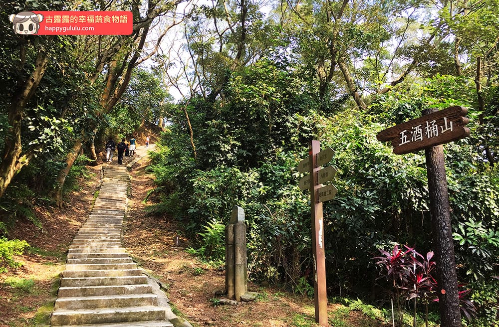 [桃園景點] 五酒桶山步道｜林木遮蔭 悠閒爬山｜桃園蘆竹風景區