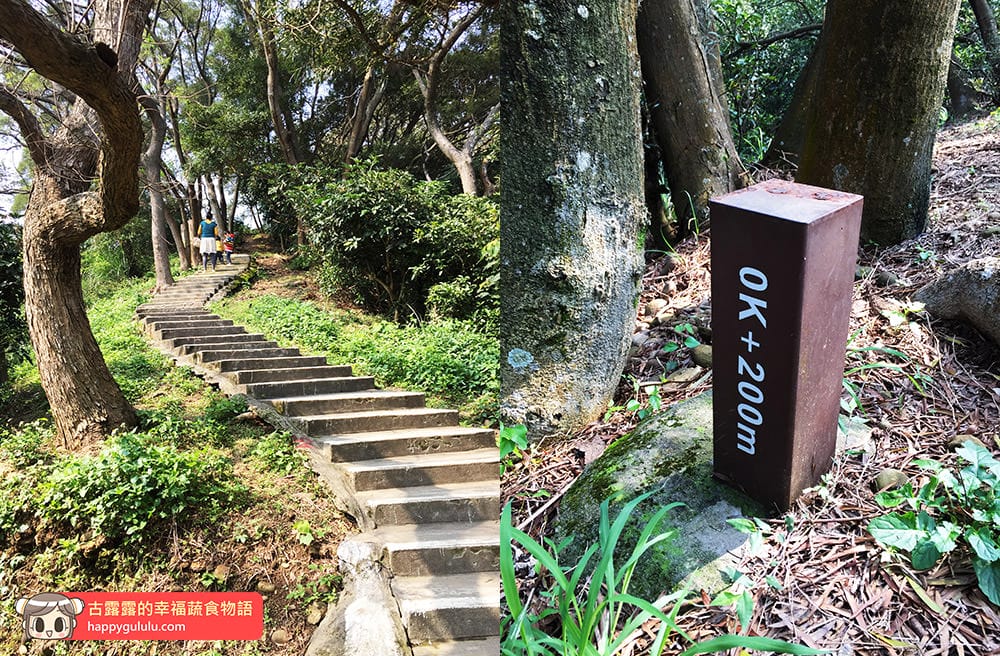 [桃園景點] 五酒桶山步道｜林木遮蔭 悠閒爬山｜桃園蘆竹風景區