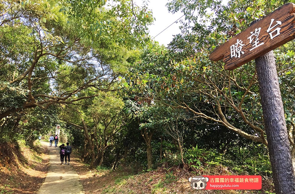 [桃園景點] 五酒桶山步道｜林木遮蔭 悠閒爬山｜桃園蘆竹風景區