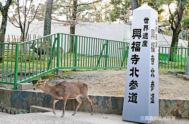 日本旅遊》大阪京都3天2夜 意猶未盡自由行！大阪奈良 京都嵐山 渡月橋 東寺