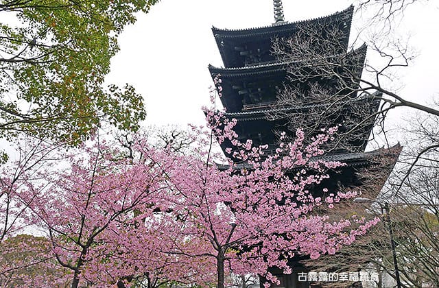 日本旅遊》大阪京都3天2夜 意猶未盡自由行！大阪奈良 京都嵐山 渡月橋 東寺