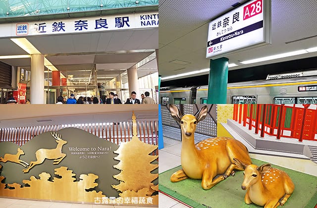 日本旅遊》大阪京都3天2夜 意猶未盡自由行！大阪奈良 京都嵐山 渡月橋 東寺