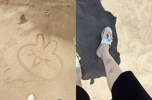 [新北] 三芝淺水灣 SHARE CAFE 分享咖啡｜有Wifi 海景咖啡館