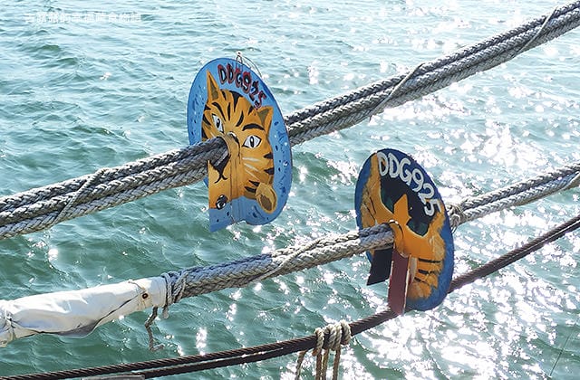 [台南景點] 安平定情碼頭 德陽艦園區｜軍艦博物館 親子旅遊