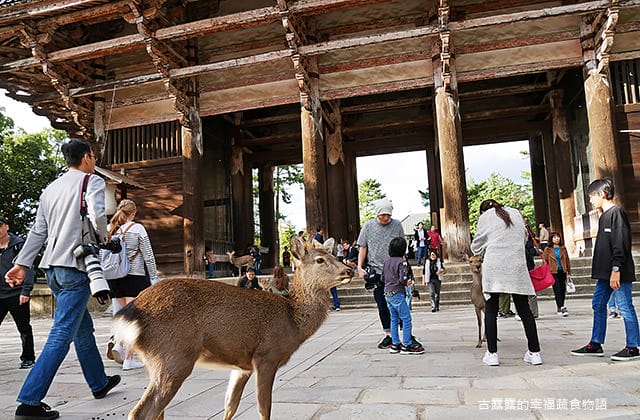 日本旅遊》大阪奈良4天3夜 鐵腿自由行！環球影城 大阪城 阿倍野 通天閣