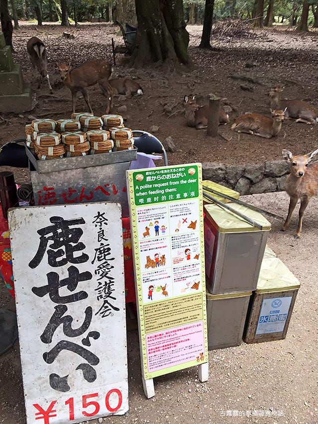 日本旅遊》大阪奈良4天3夜 鐵腿自由行！環球影城 大阪城 阿倍野 通天閣