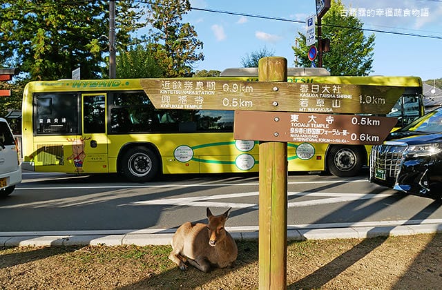 日本旅遊》大阪奈良4天3夜 鐵腿自由行！環球影城 大阪城 阿倍野 通天閣