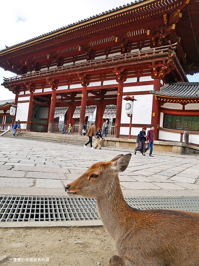 日本旅遊》大阪奈良4天3夜 鐵腿自由行！環球影城 大阪城 阿倍野 通天閣
