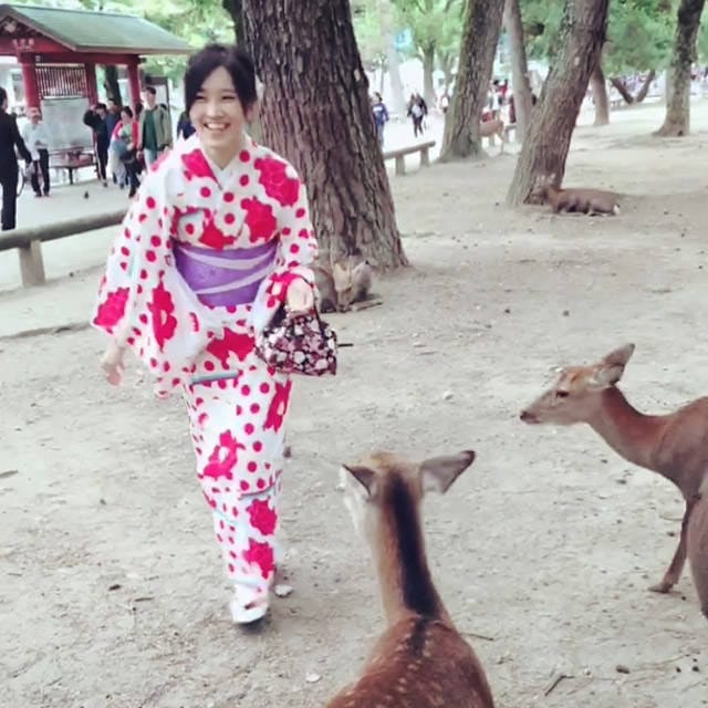 日本旅遊》大阪奈良4天3夜 鐵腿自由行！環球影城 大阪城 阿倍野 通天閣