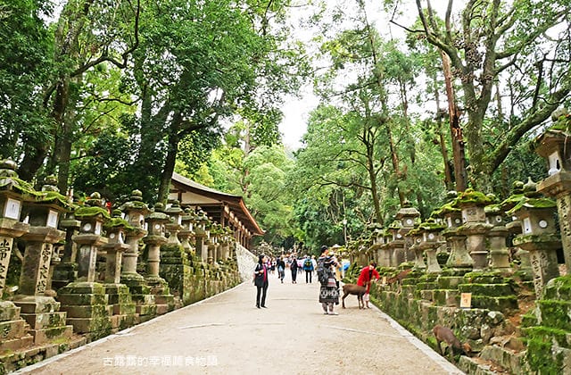 日本旅遊》大阪奈良4天3夜 鐵腿自由行！環球影城 大阪城 阿倍野 通天閣