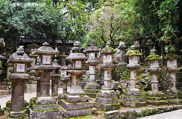 日本旅遊》大阪奈良4天3夜 鐵腿自由行！環球影城 大阪城 阿倍野 通天閣