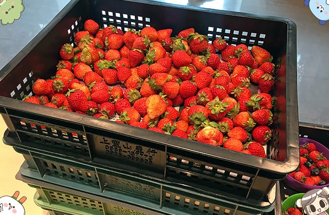 自己做 烘焙聚樂部｜自己親手做甜點 新手100%成功！