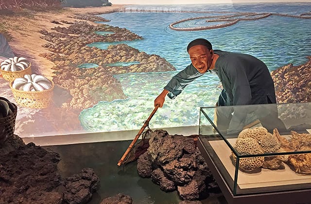 [台南景點] 國立臺灣歷史博物館｜穿越時光隧道囉 早期人們生活的歷史