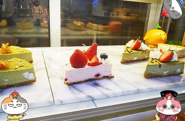 [新北] 貓草甜點手作｜療癒人心貓主題咖啡廳 下午茶 店貓 (暫停營業