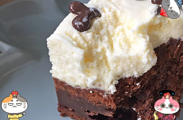 [新北] 貓草甜點手作｜療癒人心貓主題咖啡廳 下午茶 店貓 (暫停營業