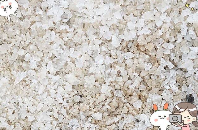 [台南景點] 七股鹽山｜親子同樂 旅遊景點｜期間限定展覽、巨型吉祥物