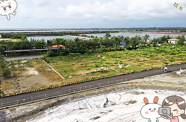 [台南景點] 七股鹽山｜親子同樂 旅遊景點｜期間限定展覽、巨型吉祥物