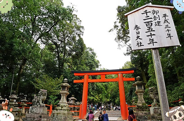 [日本奈良] 水谷茶屋 – 茅草屋頂的甜點茶屋｜春日大社 若草山 奈良公園散步