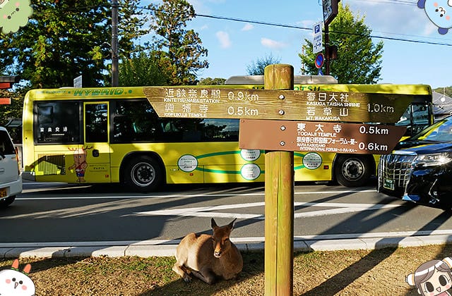 [日本奈良] 水谷茶屋 – 茅草屋頂的甜點茶屋｜春日大社 若草山 奈良公園散步