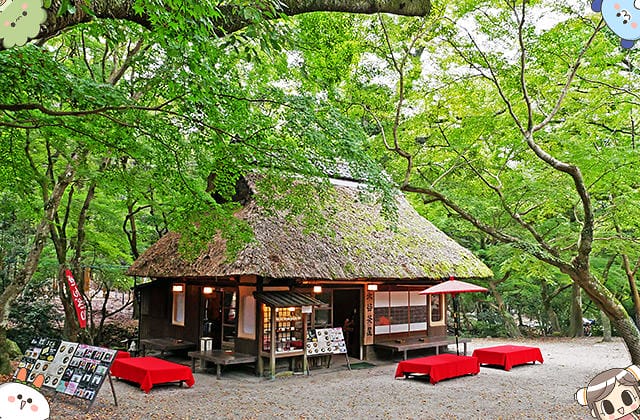 [日本奈良] 水谷茶屋 – 茅草屋頂的甜點茶屋｜春日大社 若草山 奈良公園散步