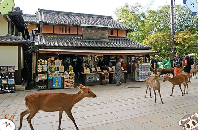 [日本奈良] 水谷茶屋 – 茅草屋頂的甜點茶屋｜春日大社 若草山 奈良公園散步