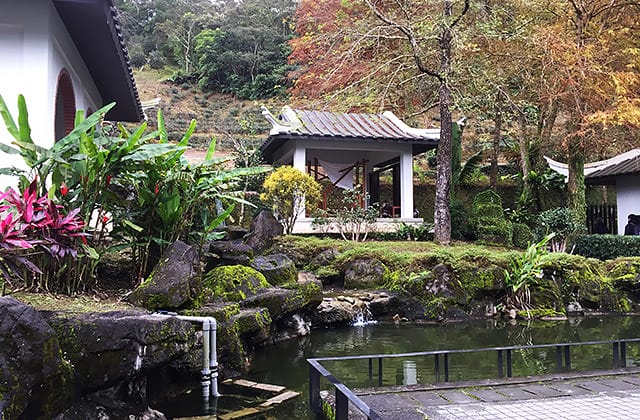 [新北景點] 坪林茶業博物館｜茶鄉中最美的文化風景