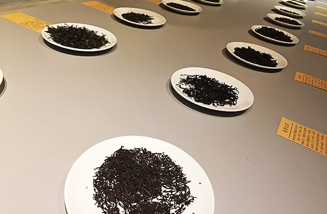 [新北景點] 坪林茶業博物館｜茶鄉中最美的文化風景