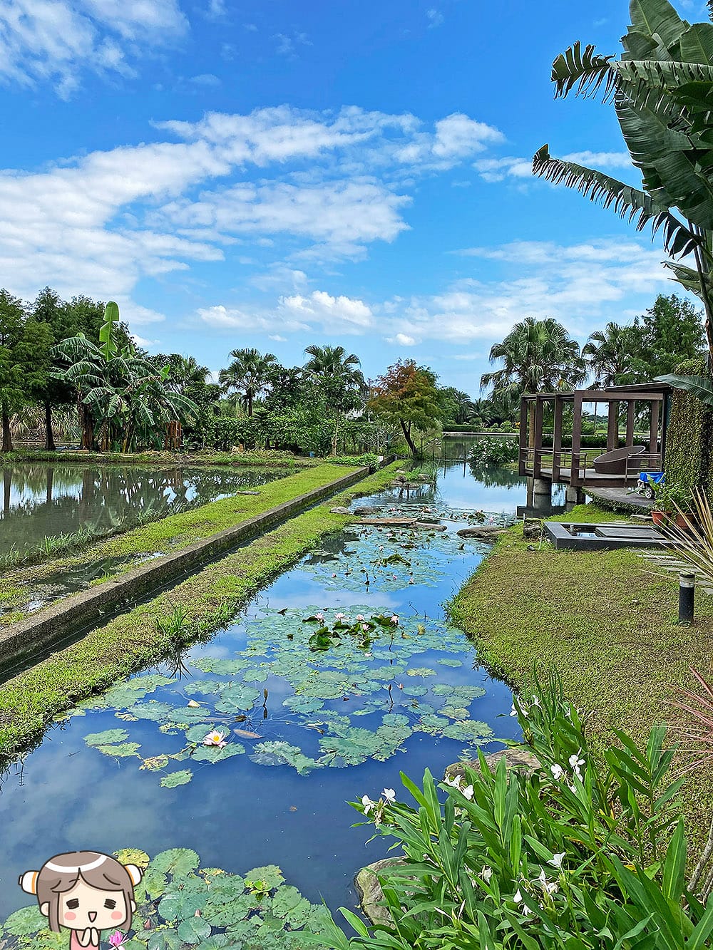 [宜蘭住宿] 稻田中的夢幻玻璃屋 躺著看星星｜水畔星墅時尚會館