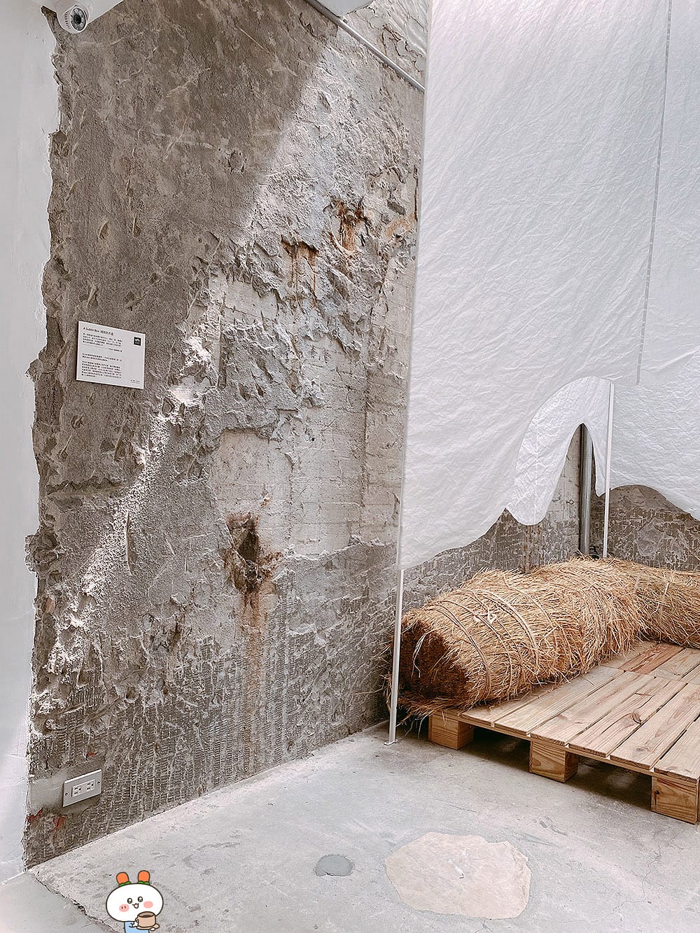 [台北] 植物奶風潮！IN LAB 主題策展 質感咖啡廳｜實驗趣味alpro植物奶 (已歇業