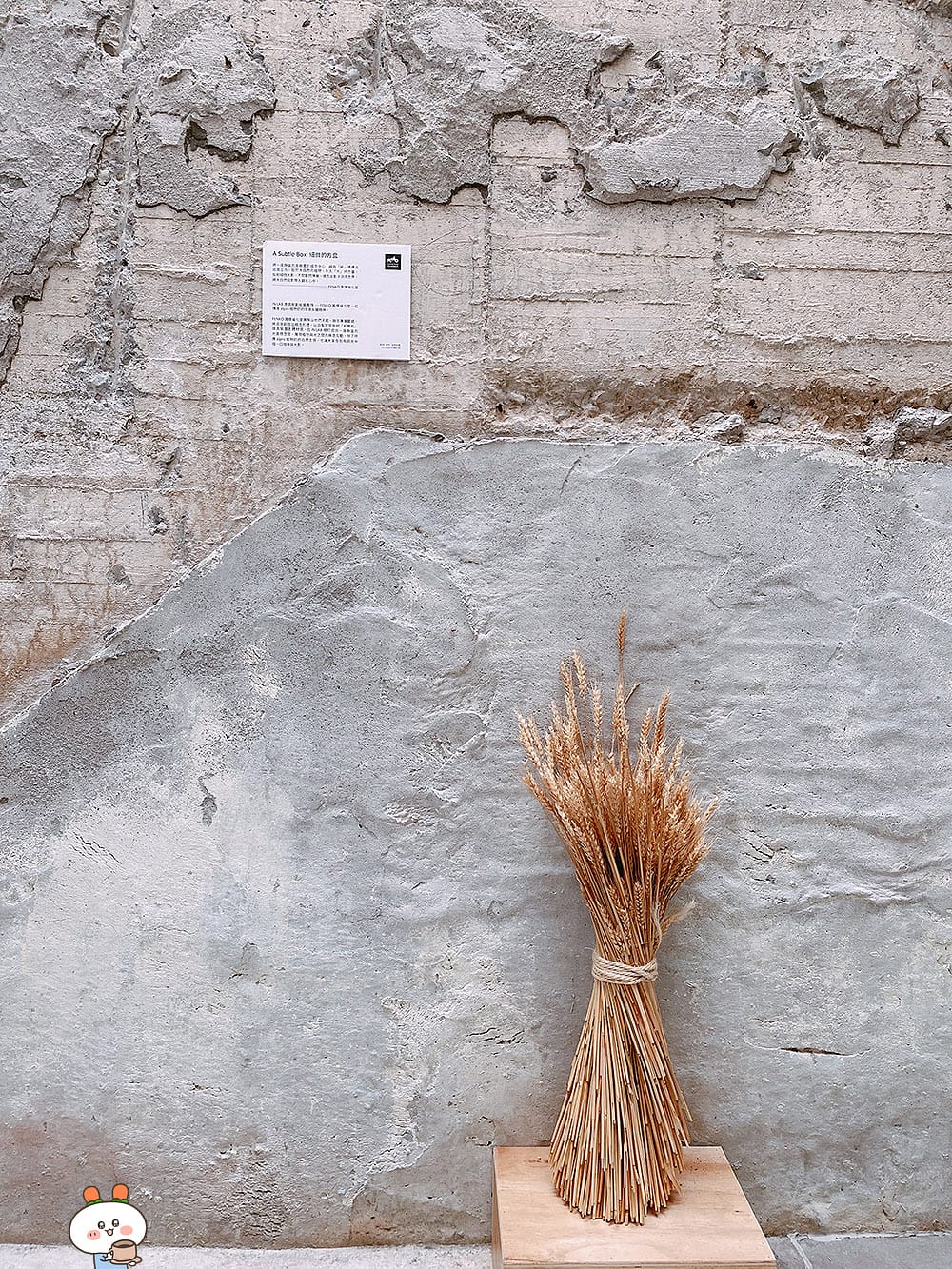 [台北] 植物奶風潮！IN LAB 主題策展 質感咖啡廳｜實驗趣味alpro植物奶 (已歇業