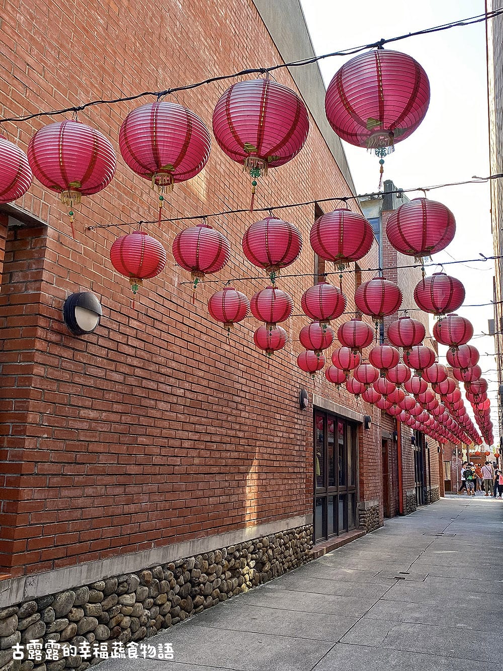 [宜蘭] 花草系咖啡廳〔享家時刻〕蔬食 下午茶。傳藝中心咖啡廳