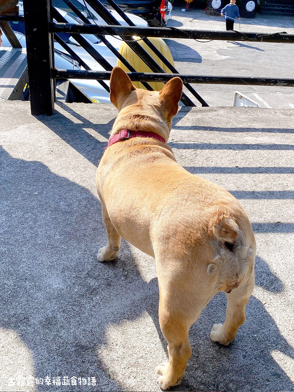 [台北] 空軍一號咖啡廳，喝咖啡看飛機 (將拆除