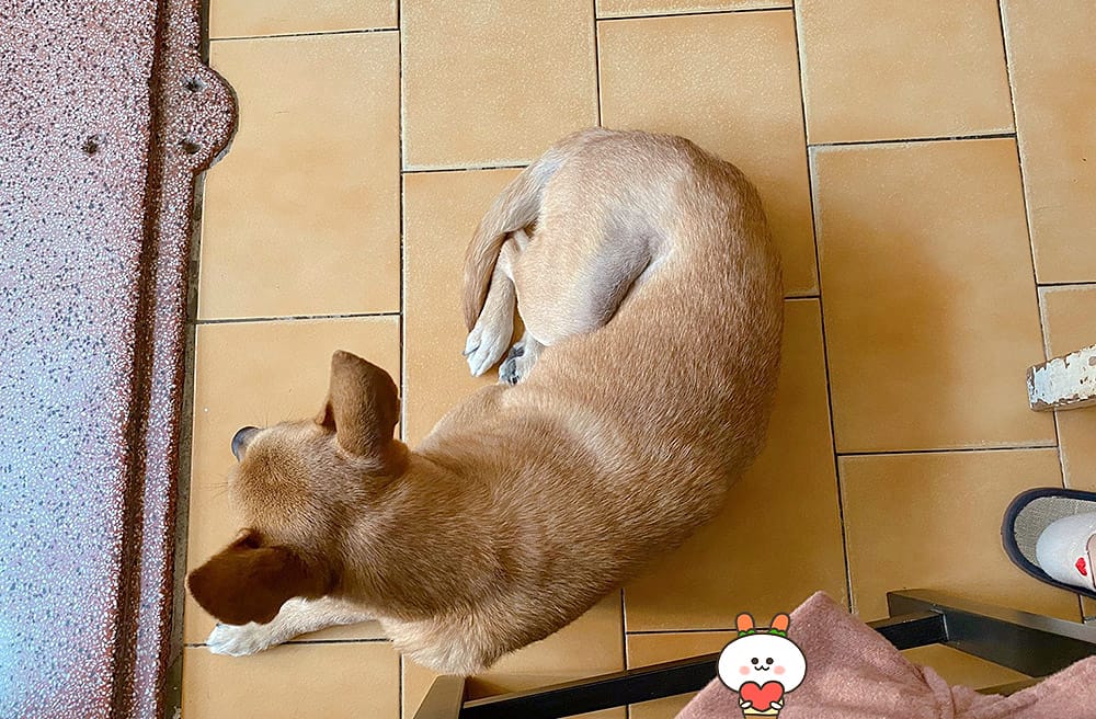 [台南] 一個人在台南散步，與浮游咖啡的邂逅｜老屋咖啡廳