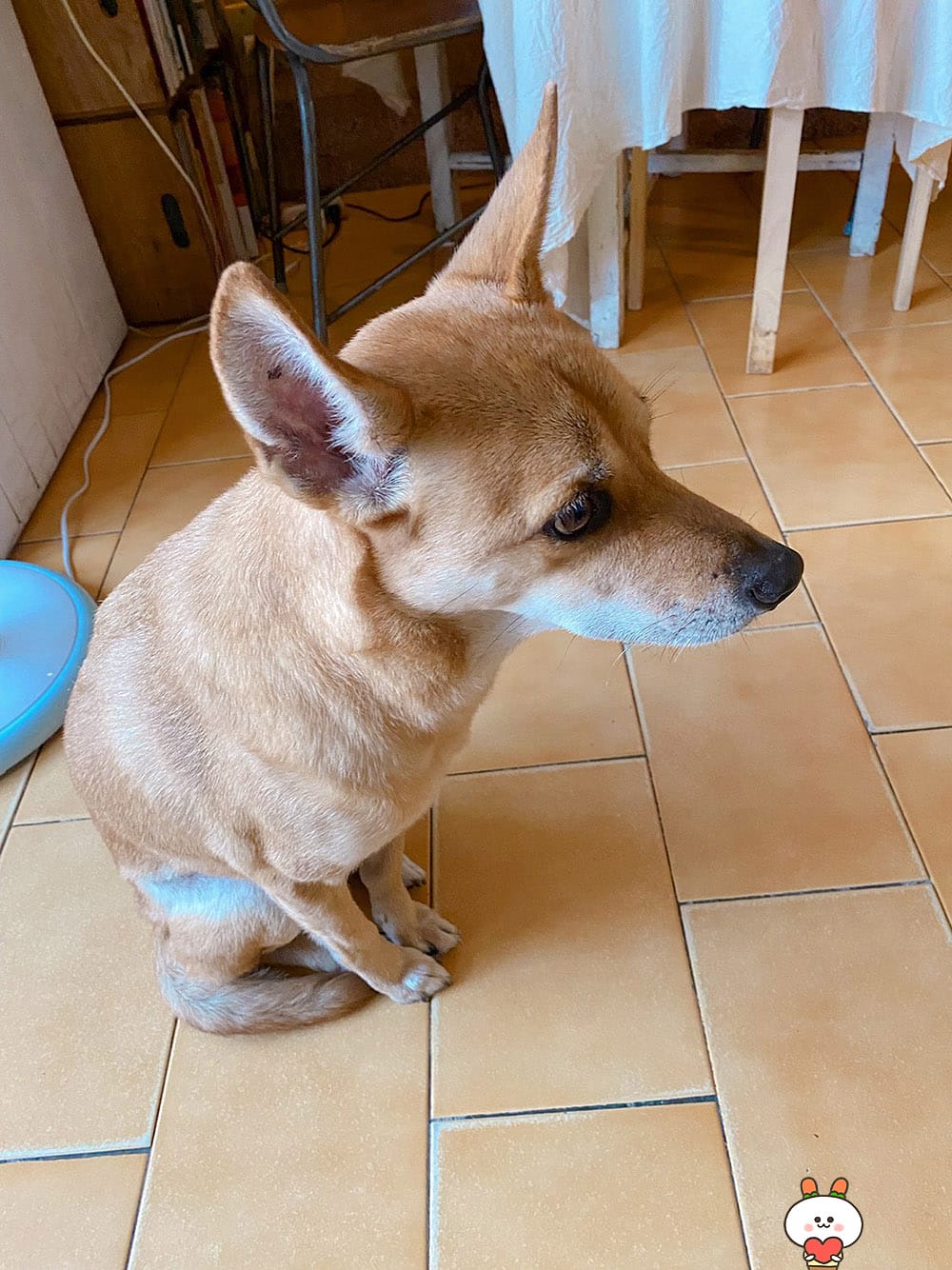 [台南] 一個人在台南散步，與浮游咖啡的邂逅｜老屋咖啡廳