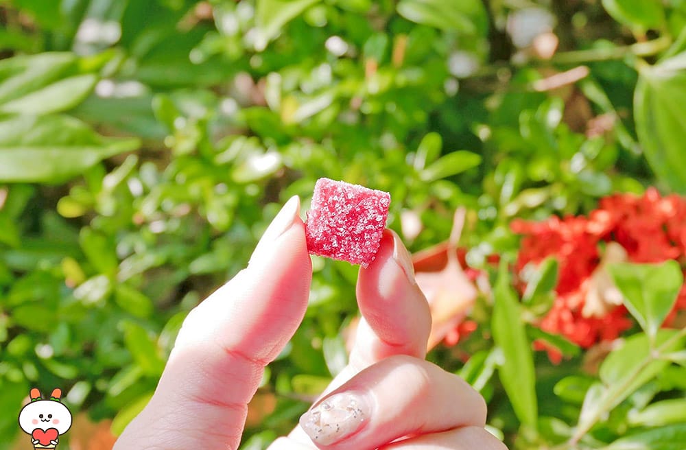 法式初戀的滋味 – 全素法式水果軟糖|吾時貳生活選物店 (已歇業 - 第5張圖 法式初戀的滋味 – 全素法式水果軟糖|吾時貳生活選物店 (已歇業
