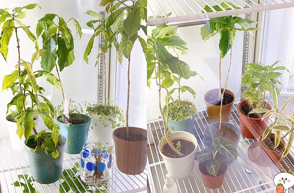 [台北] 中研珈琲所 SINICA COFFEE｜啜飲一杯療癒與舒壓的咖啡