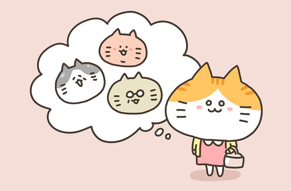 小橘貓與立冬進補｜吃一頓暖呼呼的進補，過個舒適的冬天～