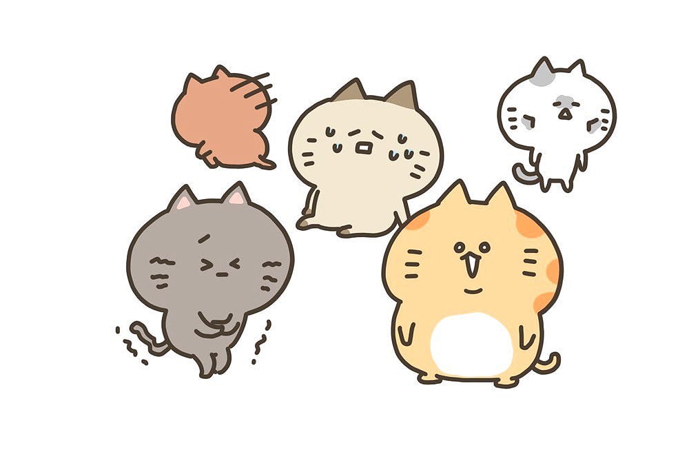 小橘貓與立冬進補｜吃一頓暖呼呼的進補，過個舒適的冬天～