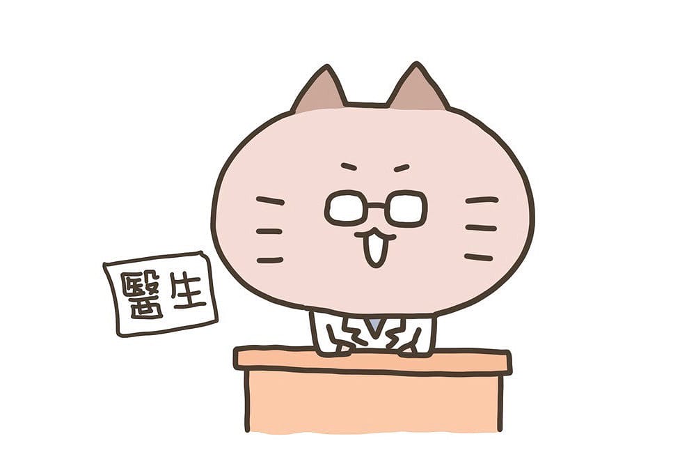 小橘貓與立冬進補｜吃一頓暖呼呼的進補，過個舒適的冬天～