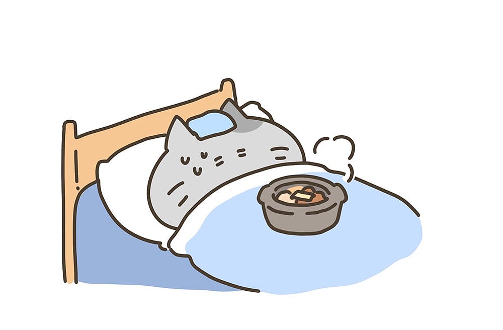 小橘貓與立冬進補｜吃一頓暖呼呼的進補，過個舒適的冬天～