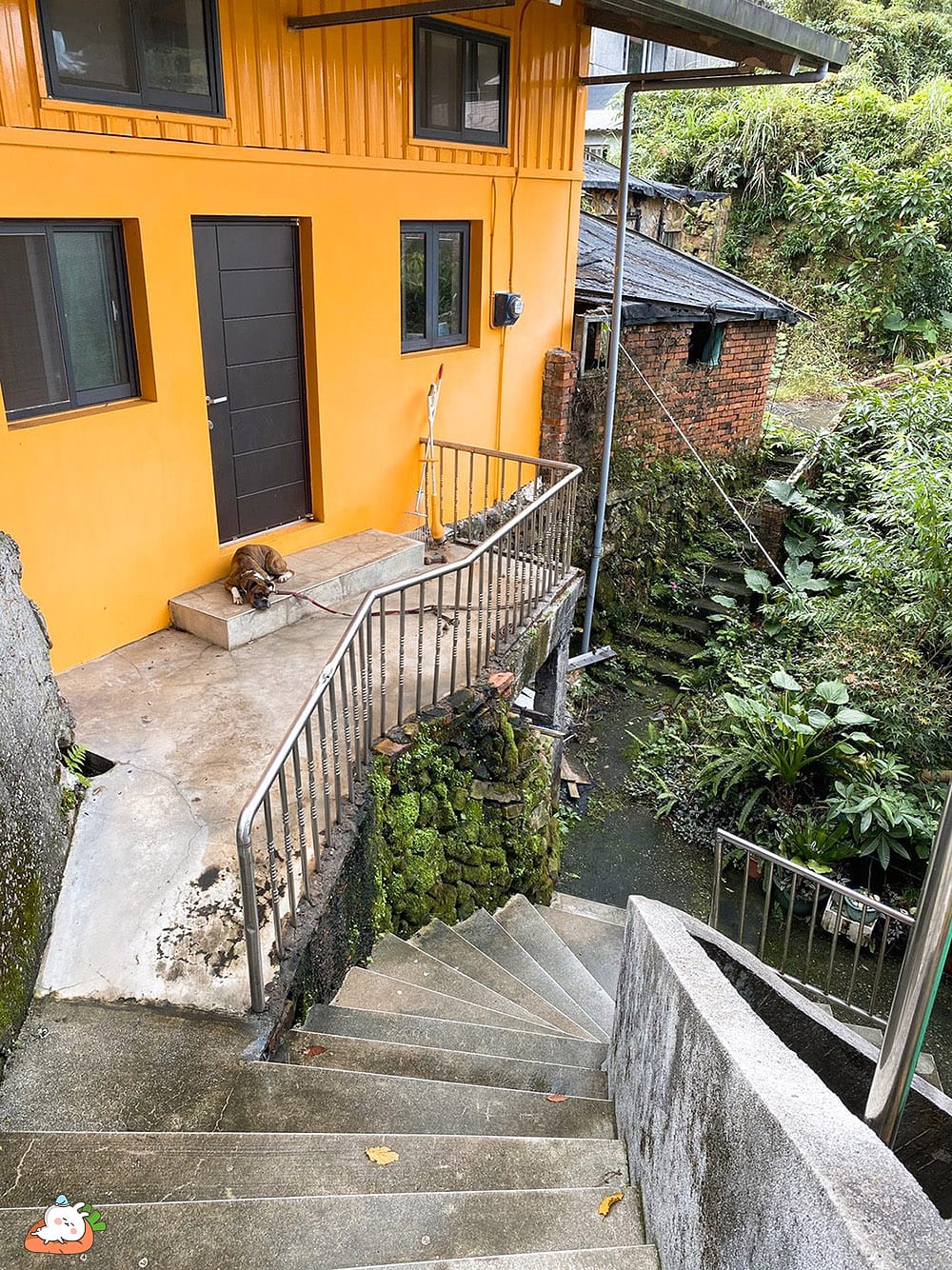 [新北住宿] 九份小町民宿｜眺望山海景小陽台，日式蔬食早餐