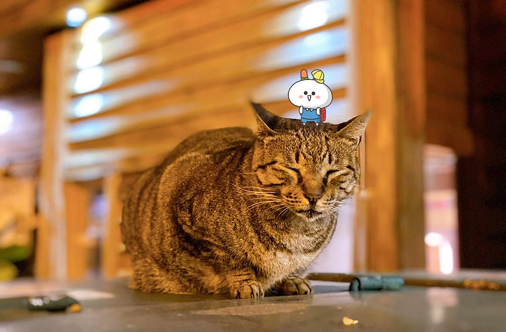 [新北住宿] 九份小町民宿｜眺望山海景小陽台，日式蔬食早餐