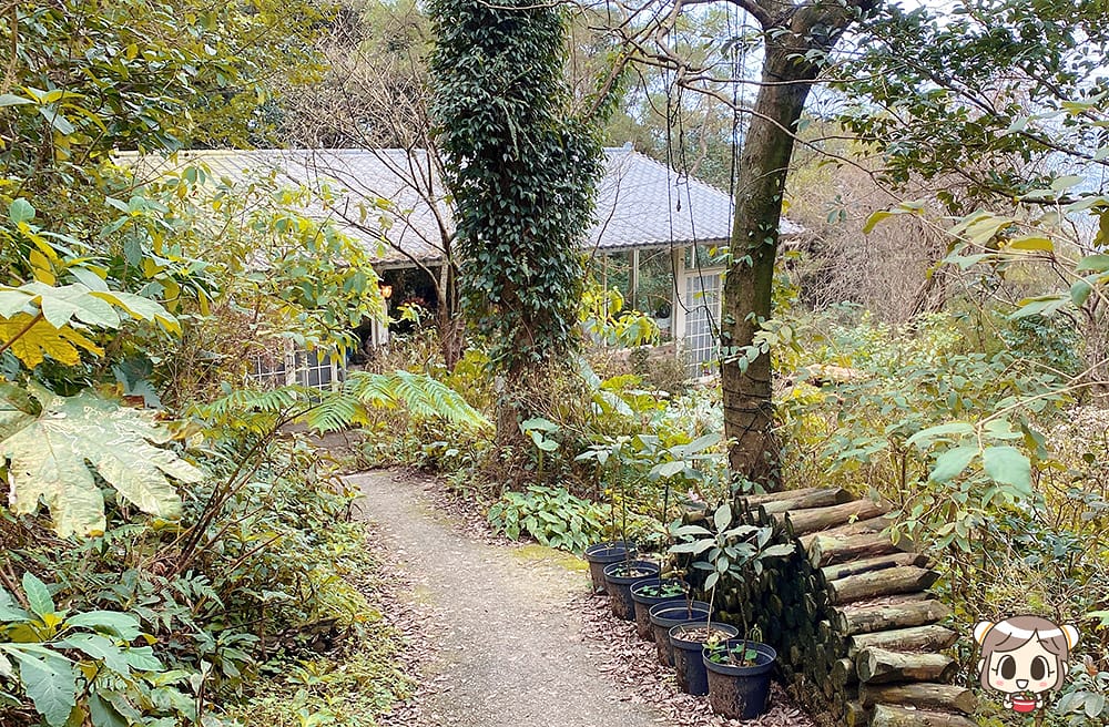 [新北] 沐浴自然光景 細味蔬食｜咖啡樹景觀花園Coffee Tree｜山海景咖啡廳