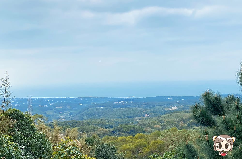 [新北] 沐浴自然光景 細味蔬食｜咖啡樹景觀花園Coffee Tree｜山海景咖啡廳