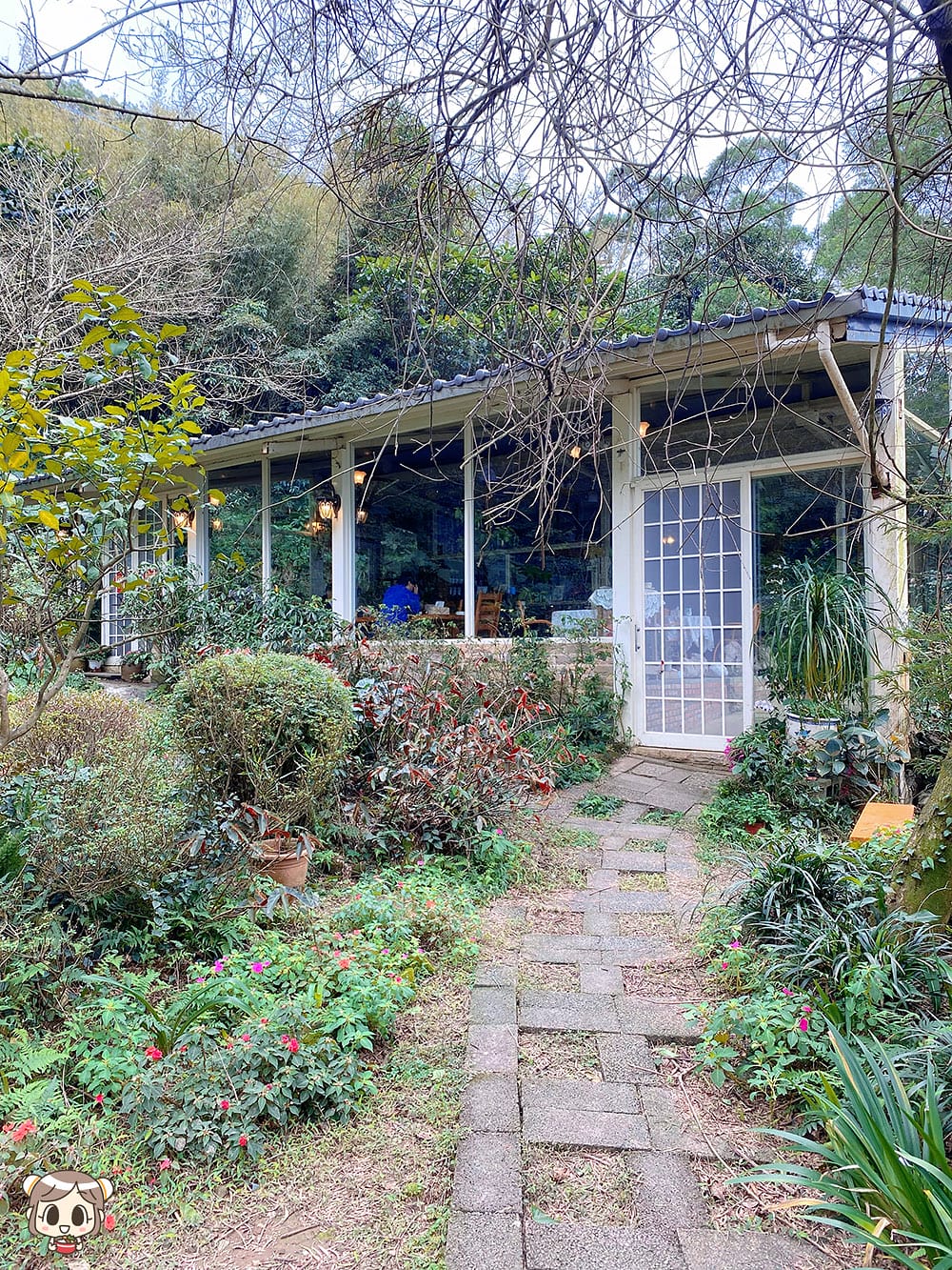 [新北] 沐浴自然光景 細味蔬食｜咖啡樹景觀花園Coffee Tree｜山海景咖啡廳