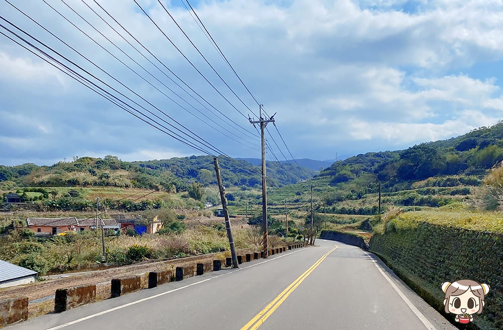 [新北] 沐浴自然光景 細味蔬食｜咖啡樹景觀花園Coffee Tree｜山海景咖啡廳