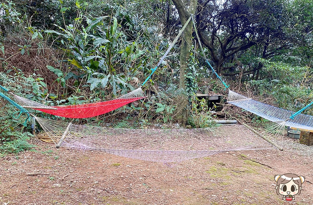[新北] 沐浴自然光景 細味蔬食｜咖啡樹景觀花園Coffee Tree｜山海景咖啡廳