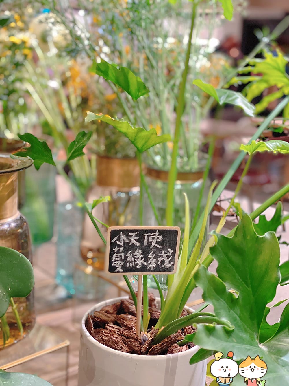 [台北] 品味浪漫下午茶「花意空間FlowerSpace」融合花香與甜美滋味｜京站門市